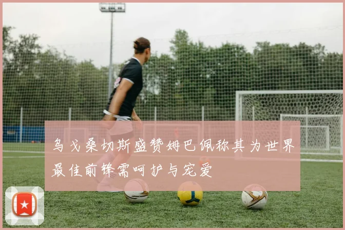 乌戈桑切斯盛赞姆巴佩称其为世界最佳前锋需呵护与宠爱
